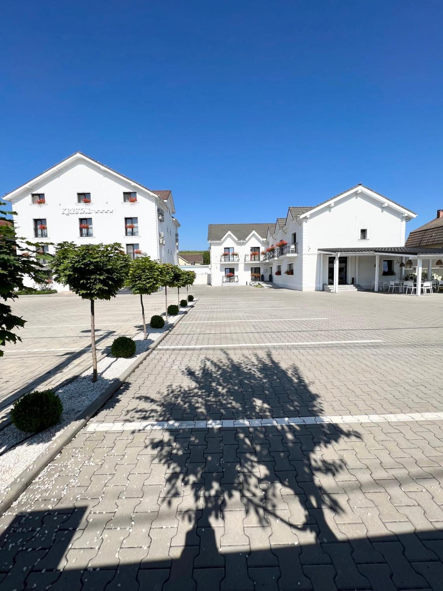 Готель Krystal Boutique Mansion Хунедоара Екстер'єр фото