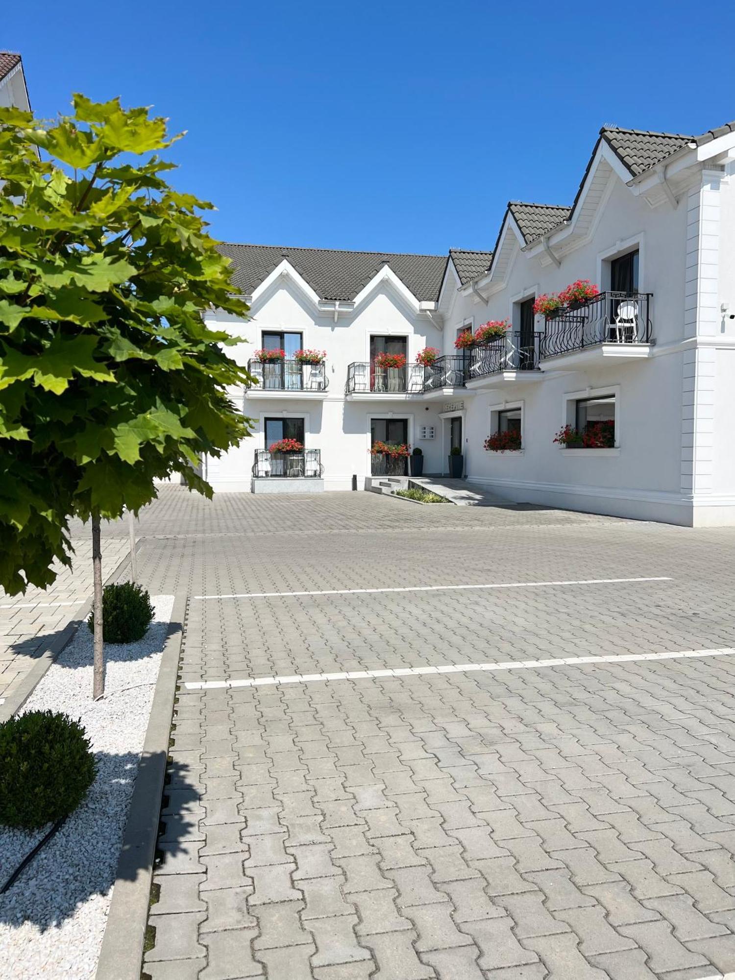 Готель Krystal Boutique Mansion Хунедоара Екстер'єр фото